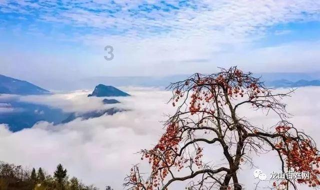 意想不到的是，你这么传统，原来在这方面这么前卫？游戏画面
